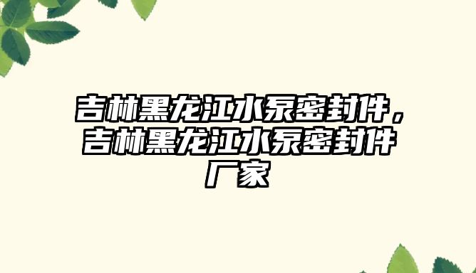 吉林黑龍江水泵密封件，吉林黑龍江水泵密封件廠家