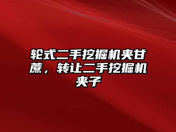 輪式二手挖掘機(jī)夾甘蔗，轉(zhuǎn)讓二手挖掘機(jī)夾子