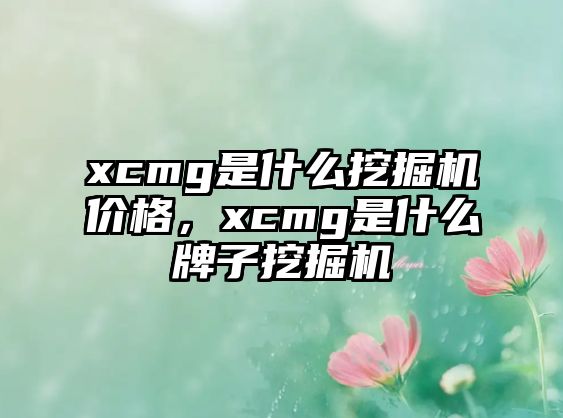 xcmg是什么挖掘機價格，xcmg是什么牌子挖掘機