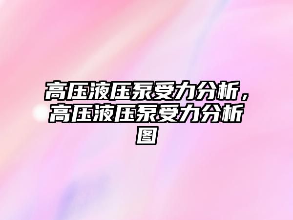 高壓液壓泵受力分析，高壓液壓泵受力分析圖