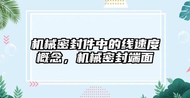 機(jī)械密封件中的線速度概念，機(jī)械密封端面