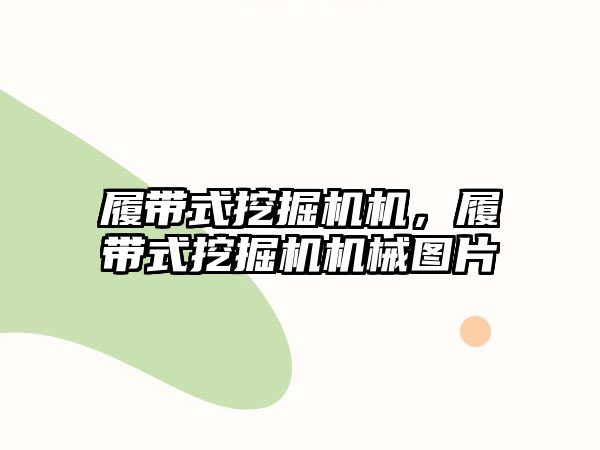 履帶式挖掘機機，履帶式挖掘機機械圖片