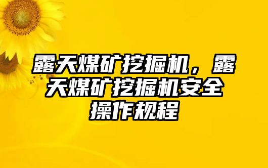 露天煤礦挖掘機(jī)，露天煤礦挖掘機(jī)安全操作規(guī)程