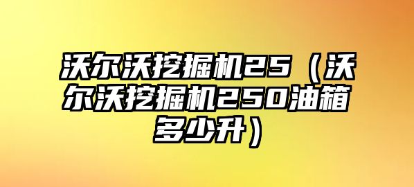 沃爾沃挖掘機25（沃爾沃挖掘機250油箱多少升）