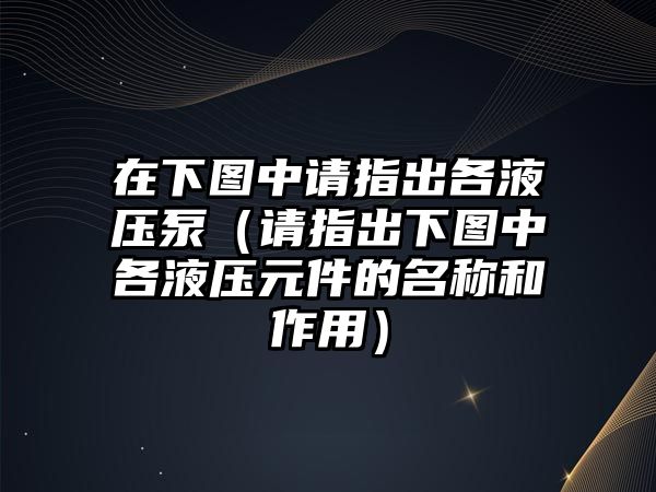 在下圖中請指出各液壓泵（請指出下圖中各液壓元件的名稱和作用）