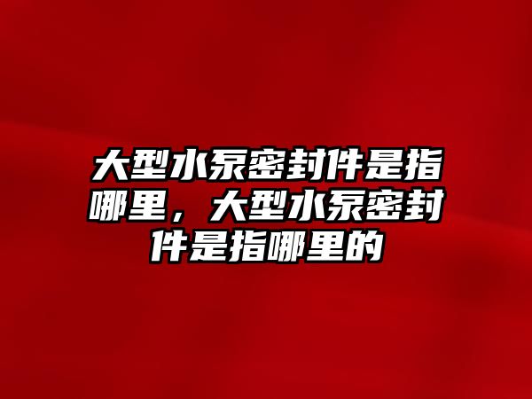 大型水泵密封件是指哪里，大型水泵密封件是指哪里的