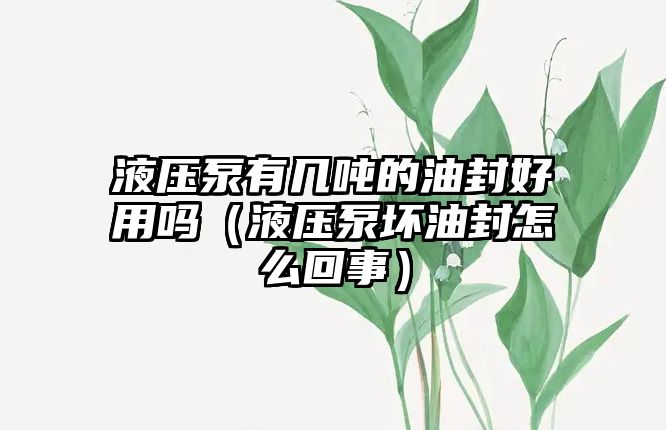 液壓泵有幾噸的油封好用嗎（液壓泵壞油封怎么回事）