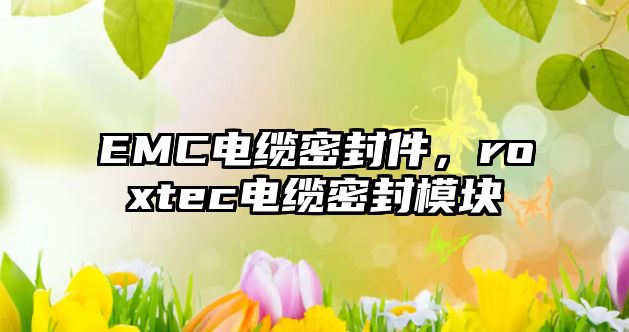 EMC電纜密封件，roxtec電纜密封模塊