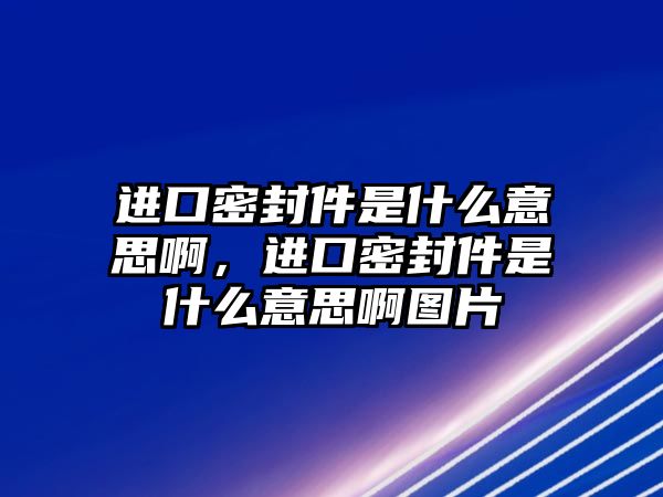 進口密封件是什么意思啊，進口密封件是什么意思啊圖片