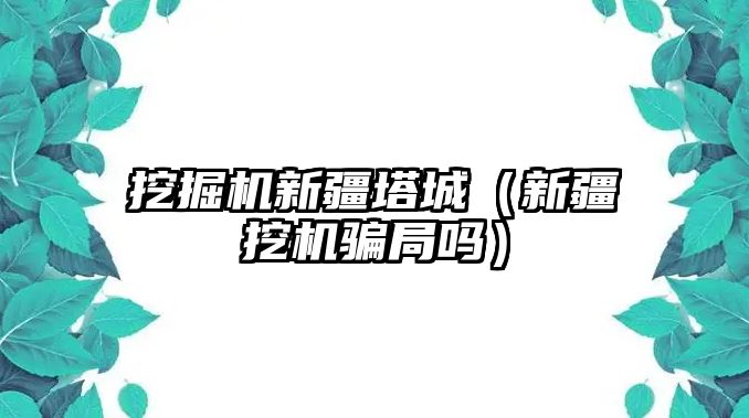 挖掘機新疆塔城（新疆挖機騙局嗎）