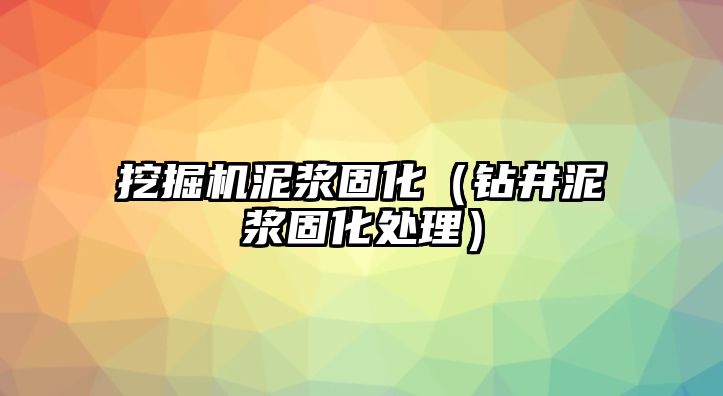 挖掘機泥漿固化（鉆井泥漿固化處理）