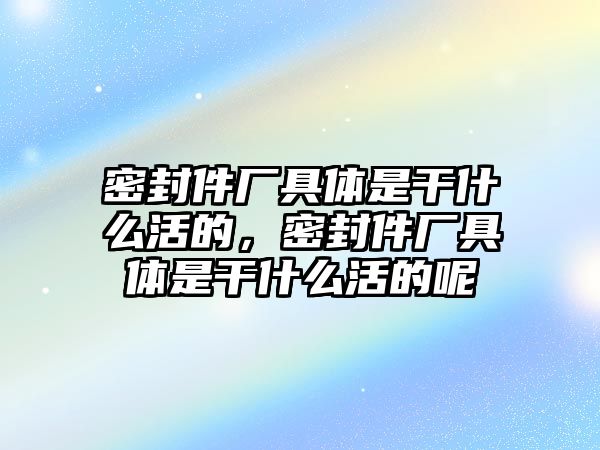 密封件廠具體是干什么活的，密封件廠具體是干什么活的呢