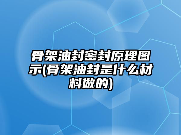 骨架油封密封原理圖示(骨架油封是什么材料做的)