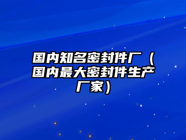 國(guó)內(nèi)知名密封件廠（國(guó)內(nèi)最大密封件生產(chǎn)廠家）