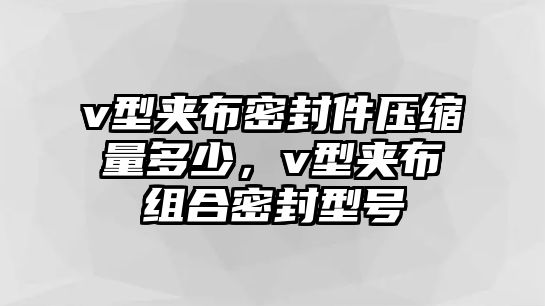 v型夾布密封件壓縮量多少，v型夾布組合密封型號