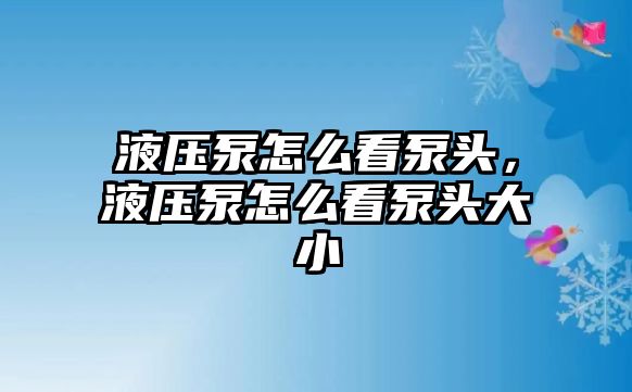 液壓泵怎么看泵頭，液壓泵怎么看泵頭大小