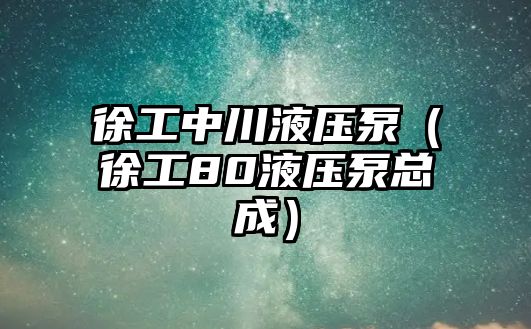 徐工中川液壓泵（徐工80液壓泵總成）