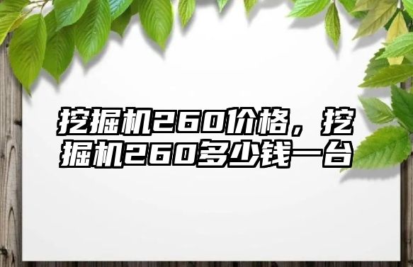 挖掘機260價格，挖掘機260多少錢一臺