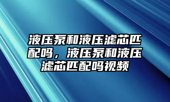 液壓泵和液壓濾芯匹配嗎，液壓泵和液壓濾芯匹配嗎視頻