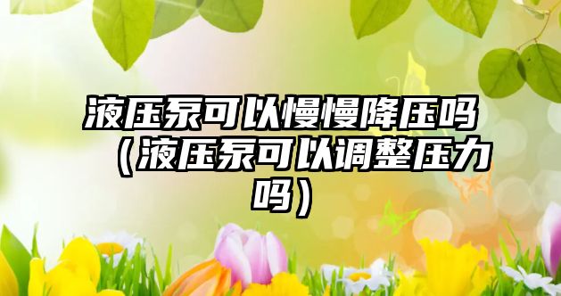 液壓泵可以慢慢降壓?jiǎn)幔ㄒ簤罕每梢哉{(diào)整壓力嗎）