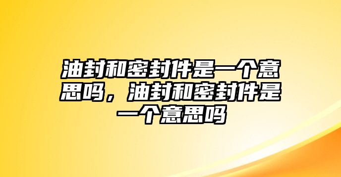 油封和密封件是一個(gè)意思嗎，油封和密封件是一個(gè)意思嗎