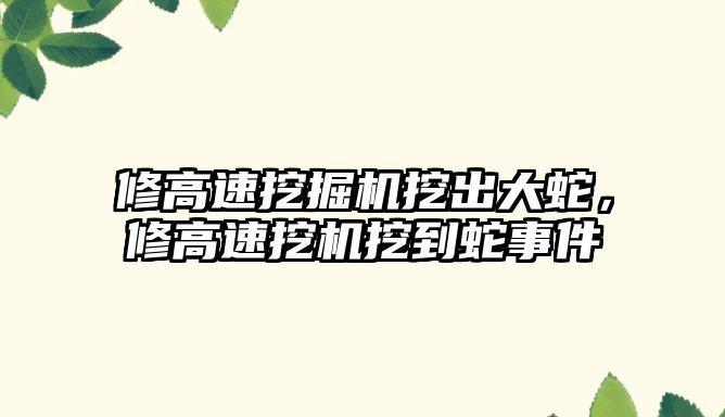 修高速挖掘機挖出大蛇，修高速挖機挖到蛇事件