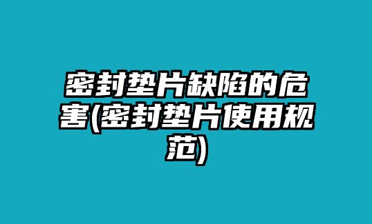 密封墊片缺陷的危害(密封墊片使用規(guī)范)