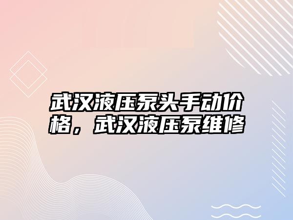 武漢液壓泵頭手動價格，武漢液壓泵維修