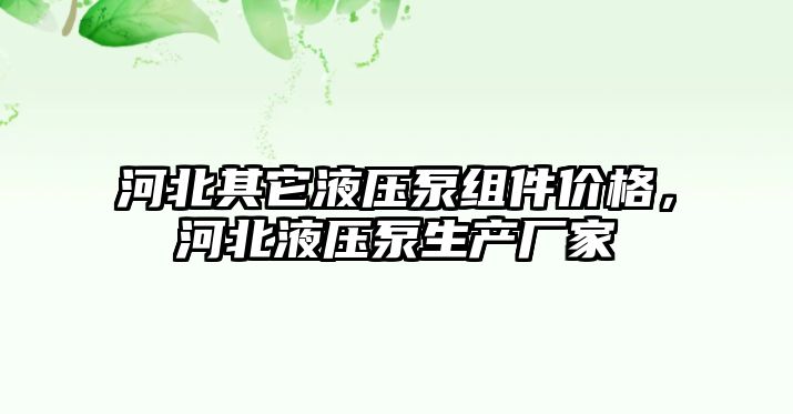 河北其它液壓泵組件價格，河北液壓泵生產廠家