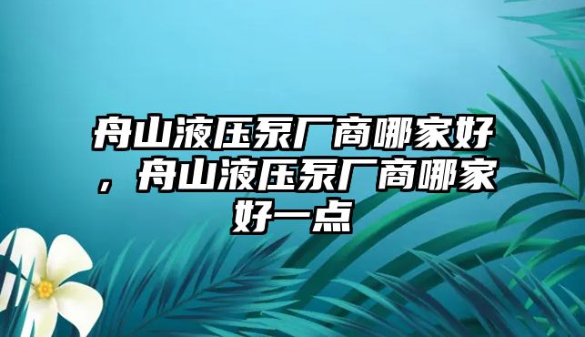 舟山液壓泵廠商哪家好，舟山液壓泵廠商哪家好一點(diǎn)