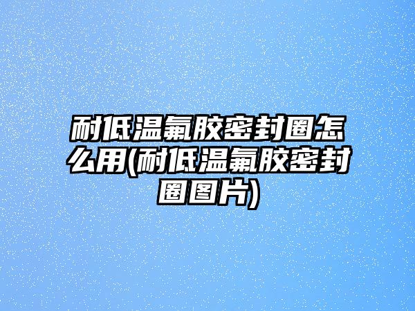 耐低溫氟膠密封圈怎么用(耐低溫氟膠密封圈圖片)