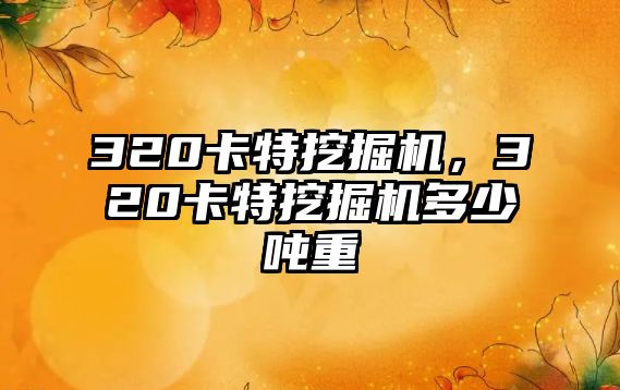 320卡特挖掘機，320卡特挖掘機多少噸重