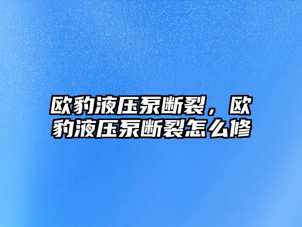 歐豹液壓泵斷裂，歐豹液壓泵斷裂怎么修