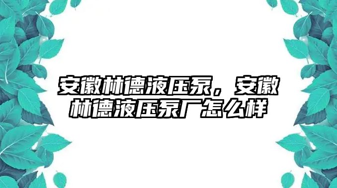 安徽林德液壓泵，安徽林德液壓泵廠怎么樣