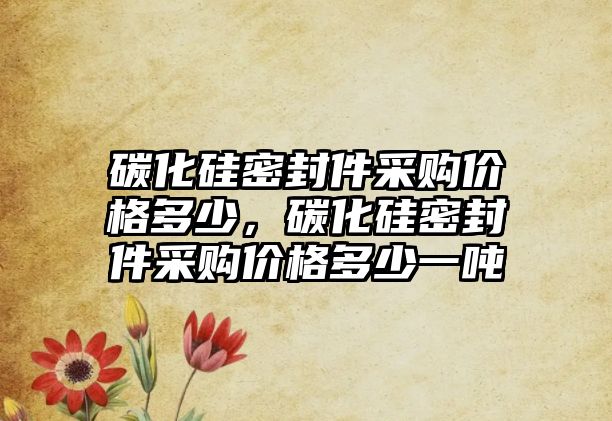 碳化硅密封件采購價(jià)格多少，碳化硅密封件采購價(jià)格多少一噸