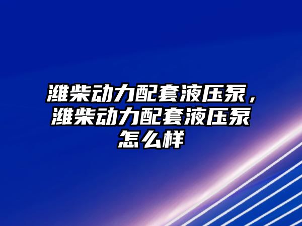 濰柴動力配套液壓泵，濰柴動力配套液壓泵怎么樣