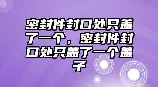 密封件封口處只蓋了一個(gè)，密封件封口處只蓋了一個(gè)蓋子