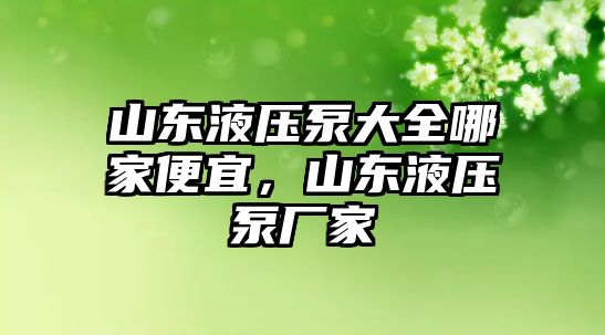 山東液壓泵大全哪家便宜，山東液壓泵廠家