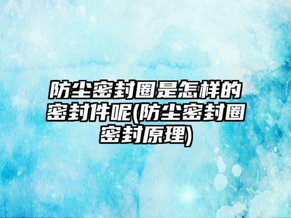 防塵密封圈是怎樣的密封件呢(防塵密封圈密封原理)