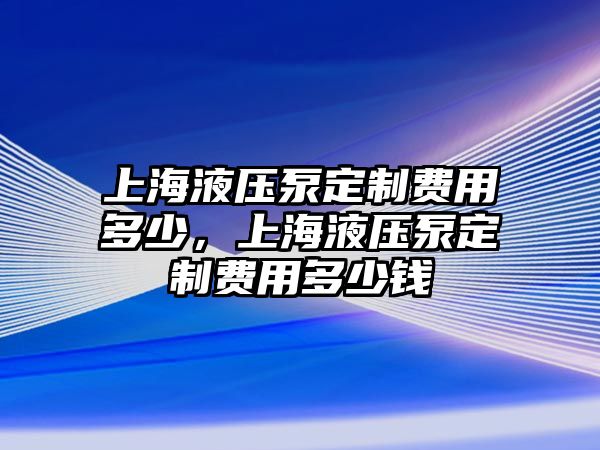 上海液壓泵定制費用多少，上海液壓泵定制費用多少錢