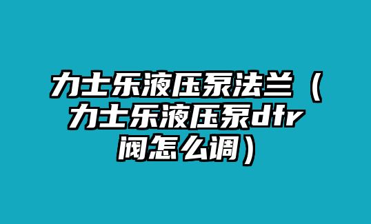 力士樂(lè)液壓泵法蘭（力士樂(lè)液壓泵dfr閥怎么調(diào)）