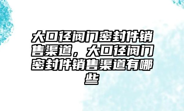 大口徑閥門密封件銷售渠道，大口徑閥門密封件銷售渠道有哪些