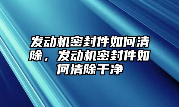 發(fā)動(dòng)機(jī)密封件如何清除，發(fā)動(dòng)機(jī)密封件如何清除干凈