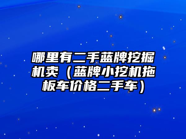 哪里有二手藍(lán)牌挖掘機(jī)賣（藍(lán)牌小挖機(jī)拖板車價(jià)格二手車）