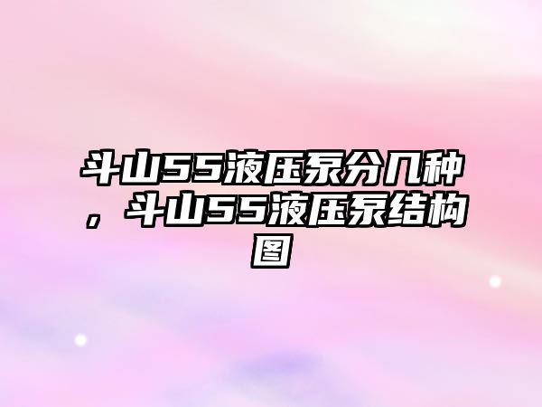 斗山55液壓泵分幾種，斗山55液壓泵結(jié)構(gòu)圖