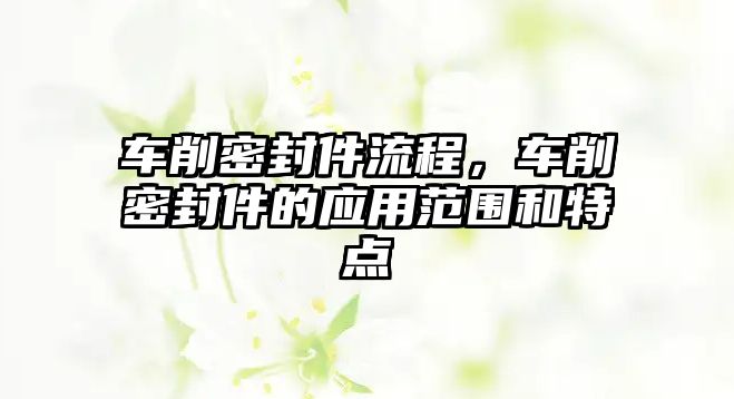 車(chē)削密封件流程，車(chē)削密封件的應(yīng)用范圍和特點(diǎn)