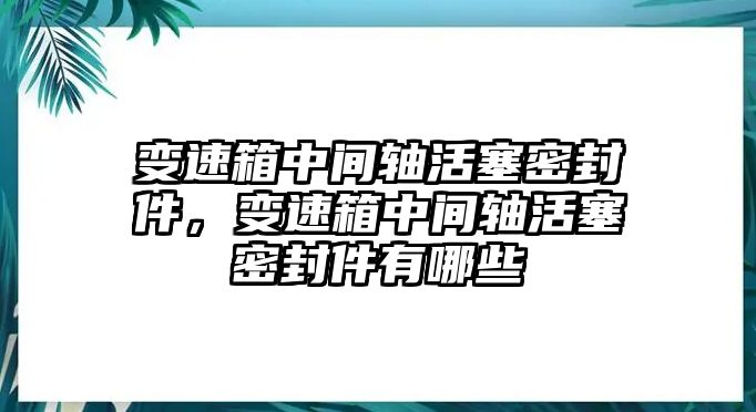 變速箱中間軸活塞密封件，變速箱中間軸活塞密封件有哪些