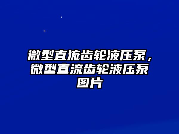 微型直流齒輪液壓泵，微型直流齒輪液壓泵圖片