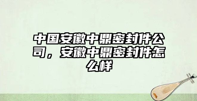 中國(guó)安徽中鼎密封件公司，安徽中鼎密封件怎么樣