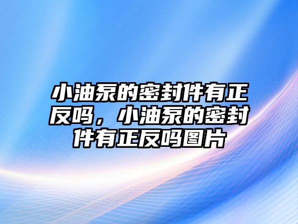 小油泵的密封件有正反嗎，小油泵的密封件有正反嗎圖片